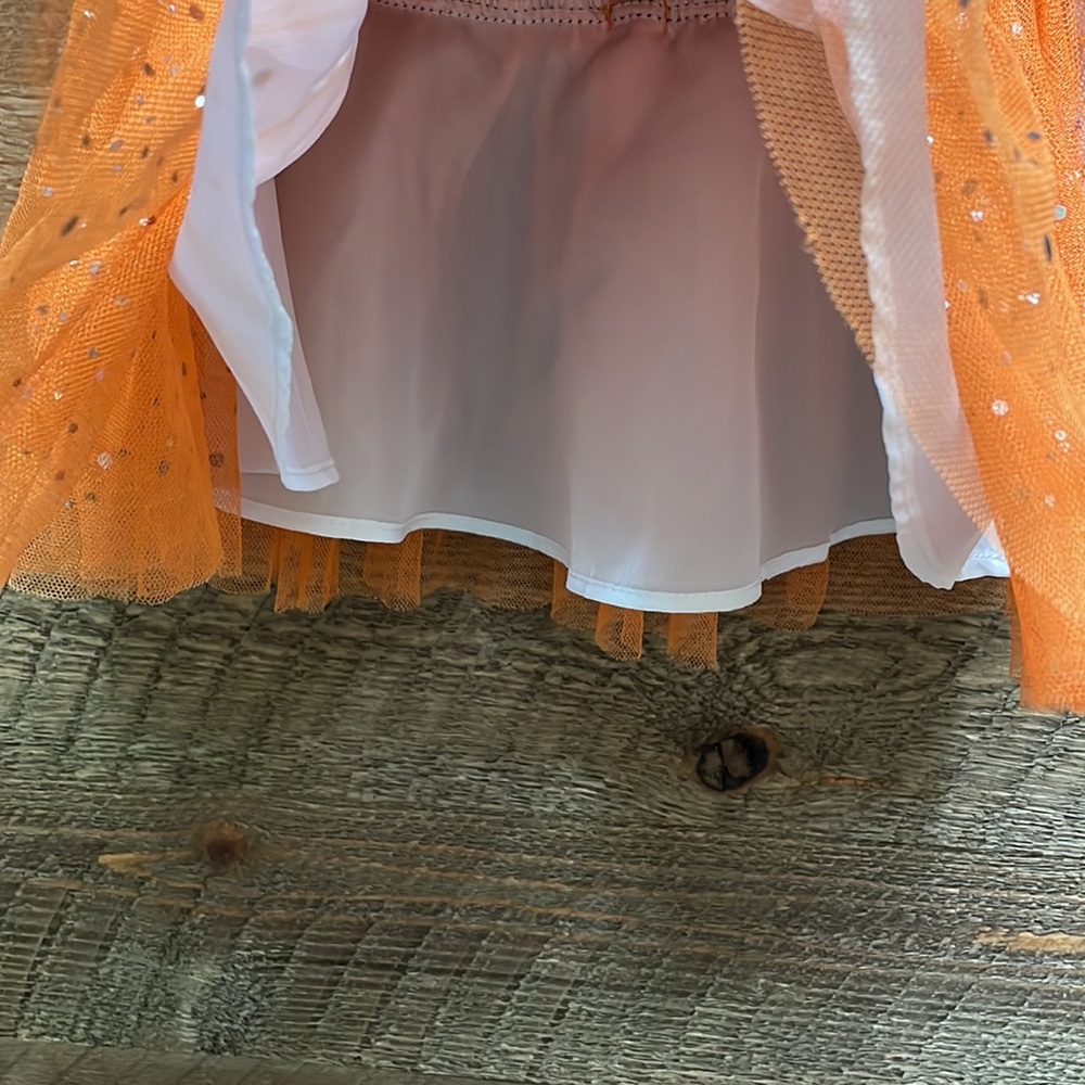 Allison Ann Girls' Halloween BOO! Owl Dress Size 4/4T *FINAL PRICE* - Picture 6 of 8